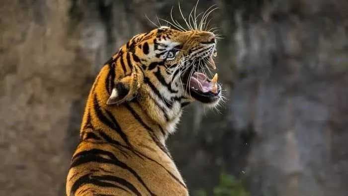 KERALA