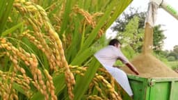 KERALA