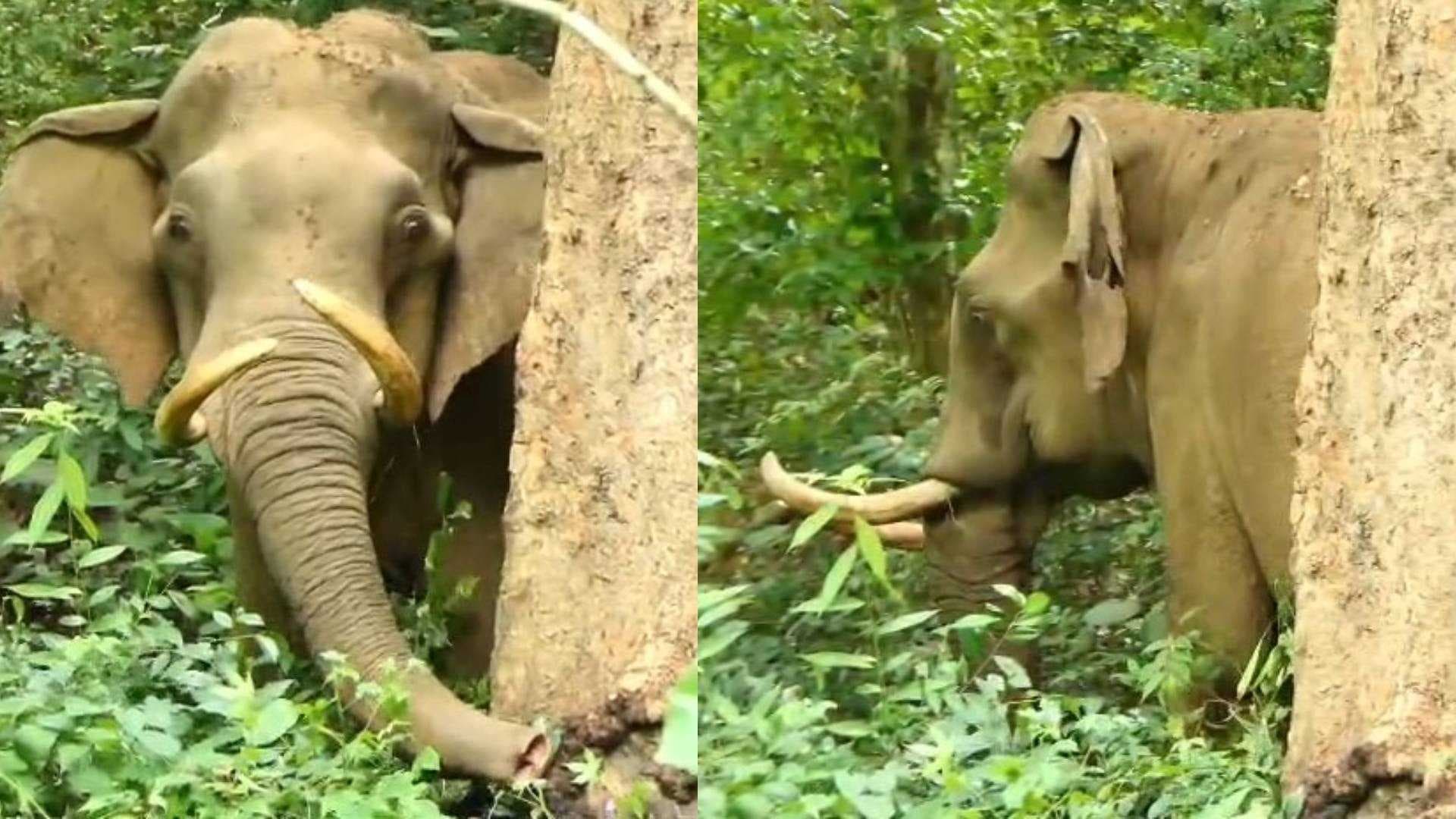 KERALA