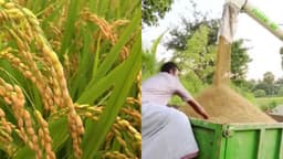 KERALA