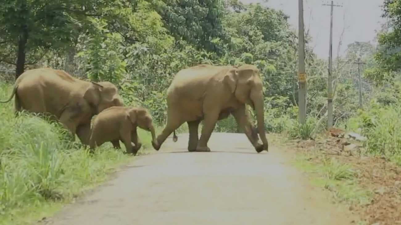 KERALA