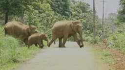 KERALA