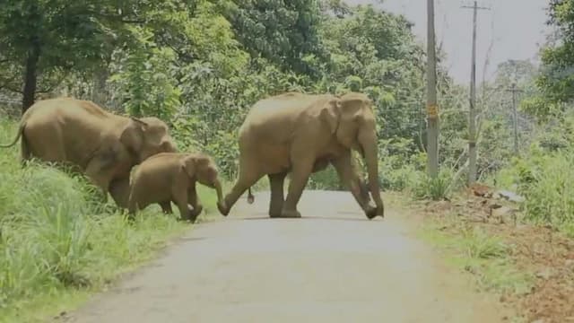 KERALA