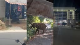 KERALA