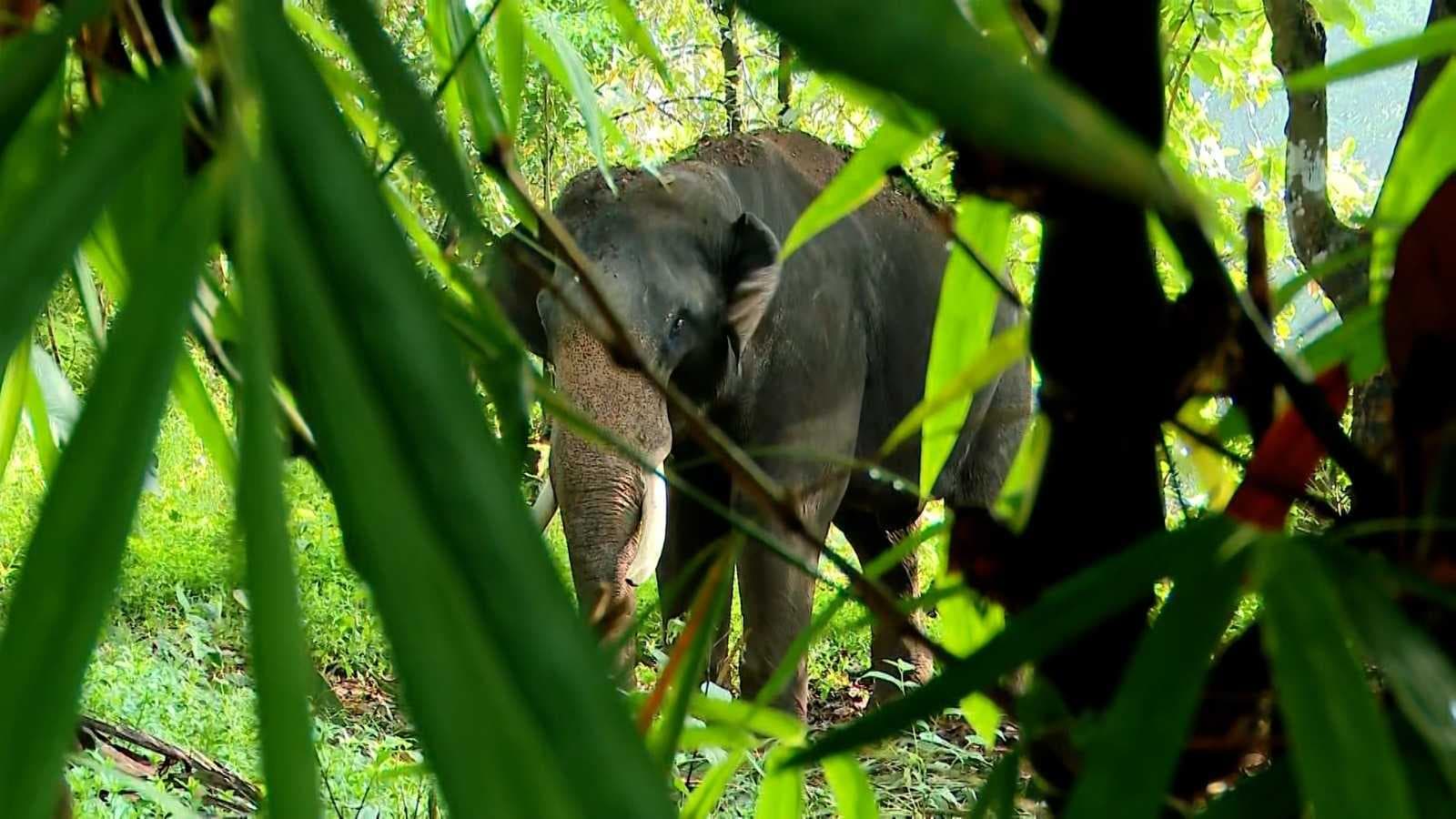 KERALA