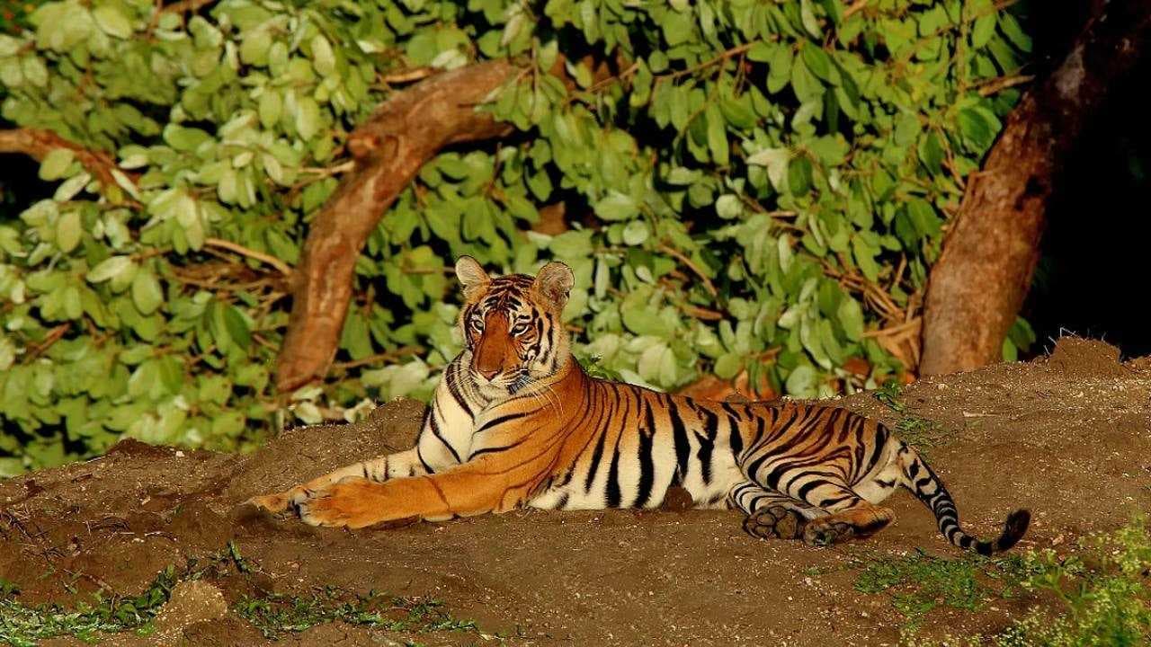 KERALA