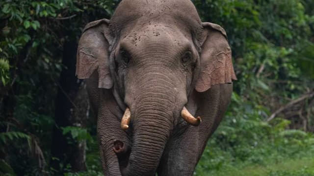 KERALA